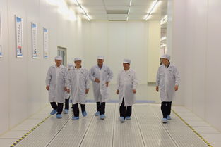 陳清泰調(diào)研長江存儲與武漢新芯，共話中國芯片產(chǎn)業(yè)發(fā)展