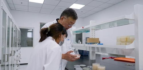 松江企業憑借創新微生物農藥研發榮獲發明金獎