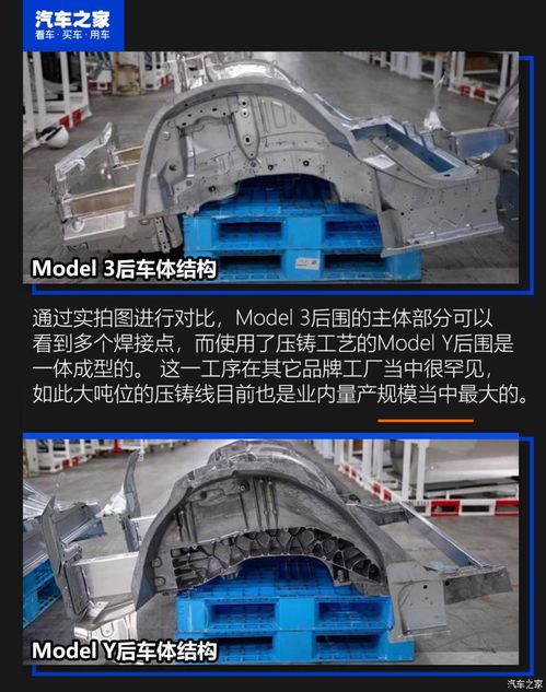 這里與眾不同 淺析特斯拉上海超級工廠與上海科技企業(yè)的共生生態(tài)